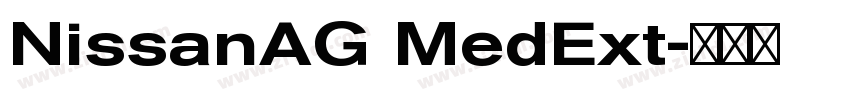 NissanAG MedExt字体转换